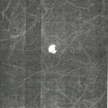 Schizophrenic Pilgrimage to the End of Light